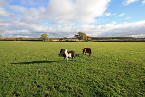 Photo of South Thornborough Farm