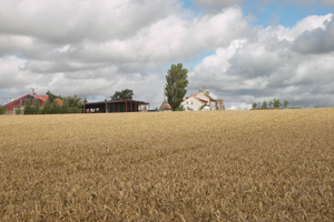 Photo of South Thornborough Farm